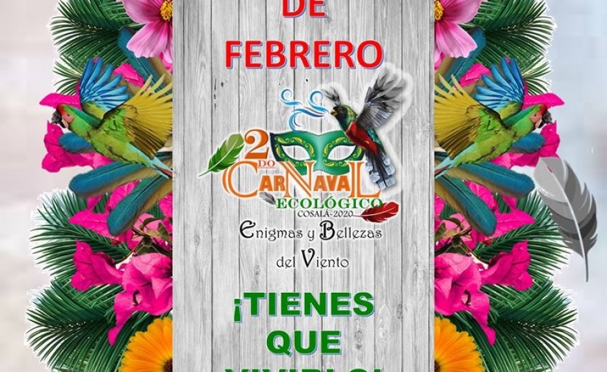 Segundo Carnaval Ecológico